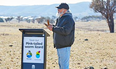 Googong recieves $1 Miillon dollar grant to save rare pink lizard