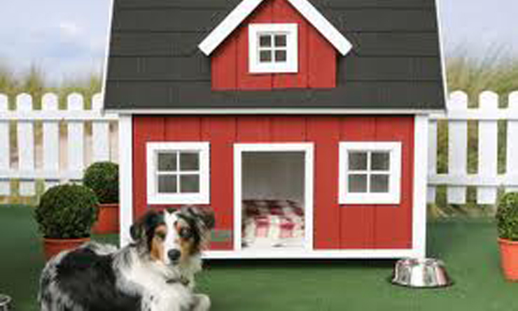 images2111903