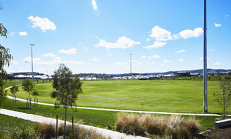 rockley-oval