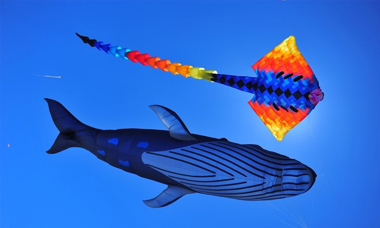 387ba45c45fe1049354c8eda4e3d29b9