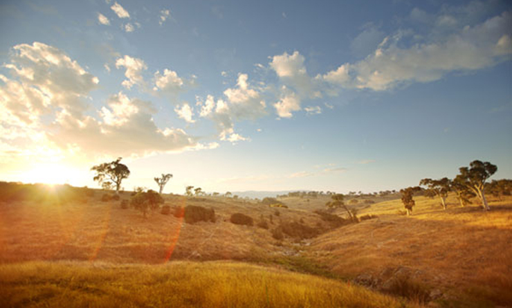 connolly-vale-hero-image