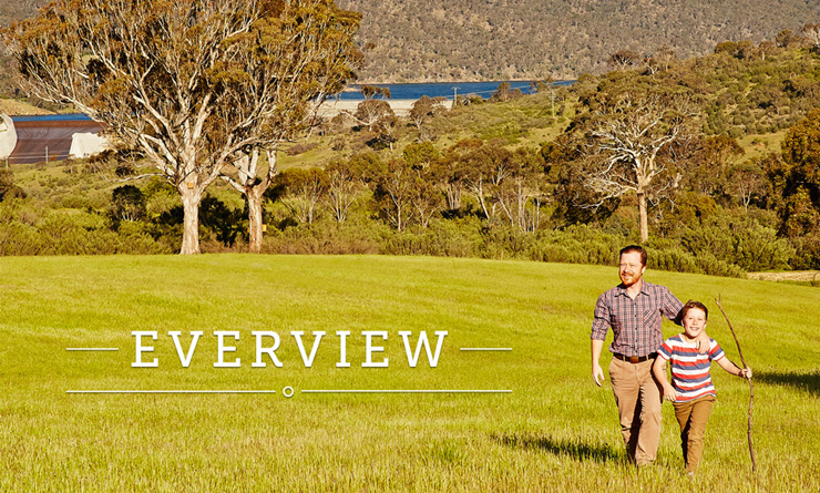 cgoo0183-everview-facebook-shared-image-fa1