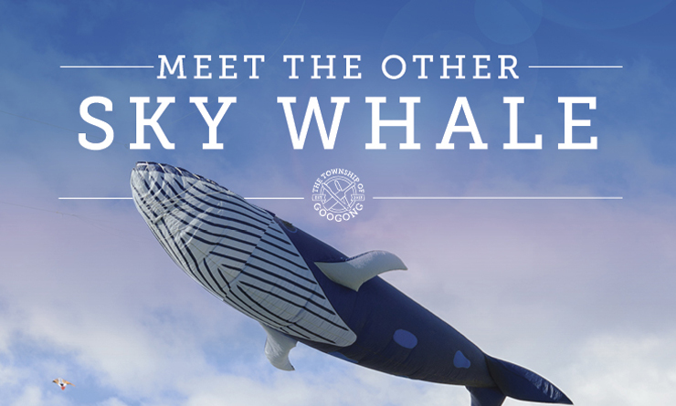 cgoo0294flyinghighimage2